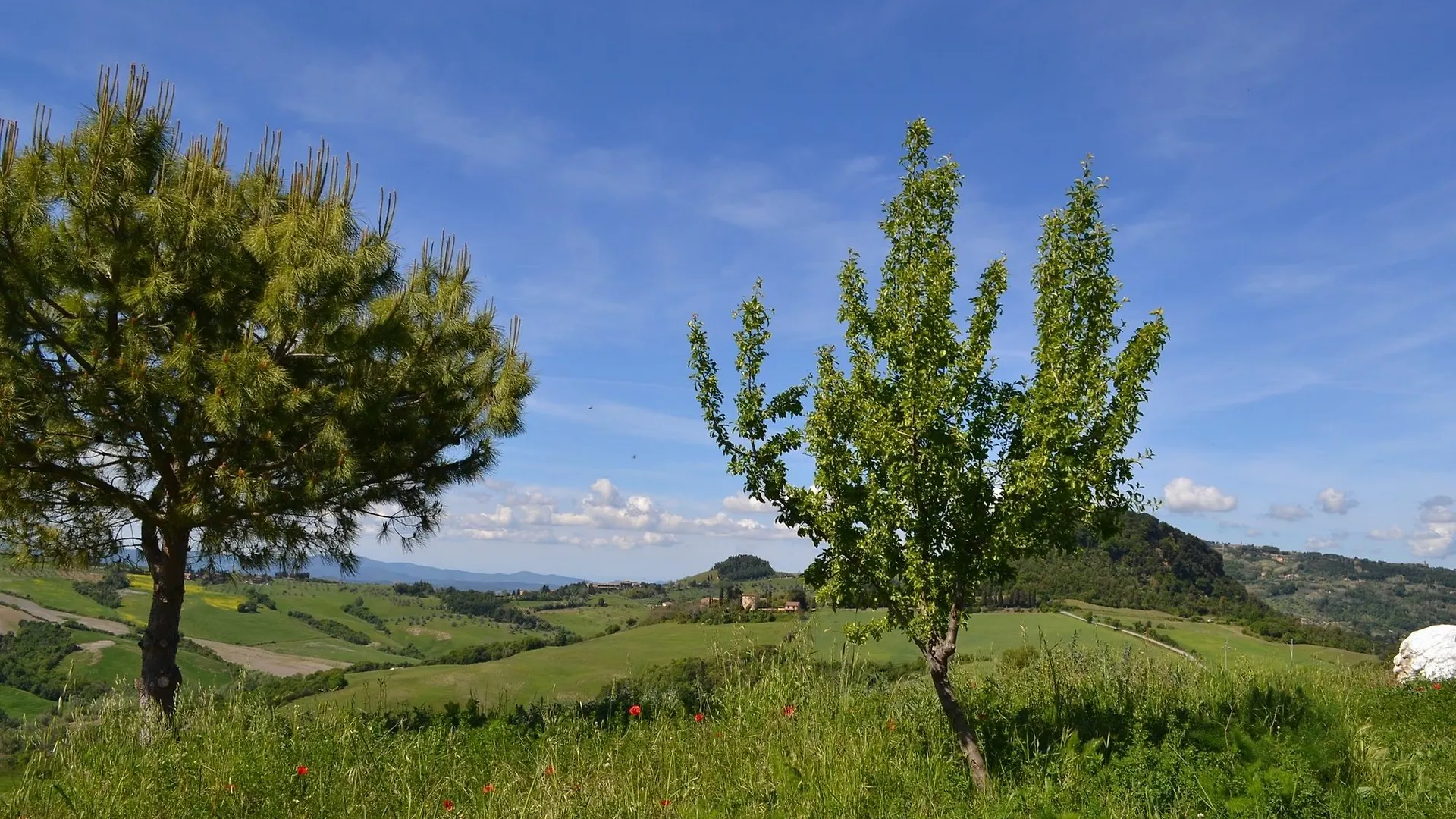 Apartment With One Bedroom In Volterra, With Wonderful Mountain View, Volterra